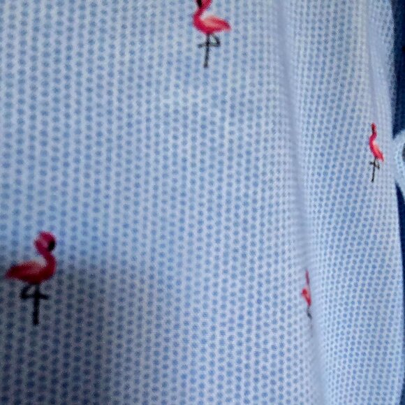 Baby blue button down summer shirt - Picture 2 of 4